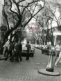 /album/fotos-da-madeira-antiga/a183967-226639817372398-193926413977072-578000-2352932-n-jpg/